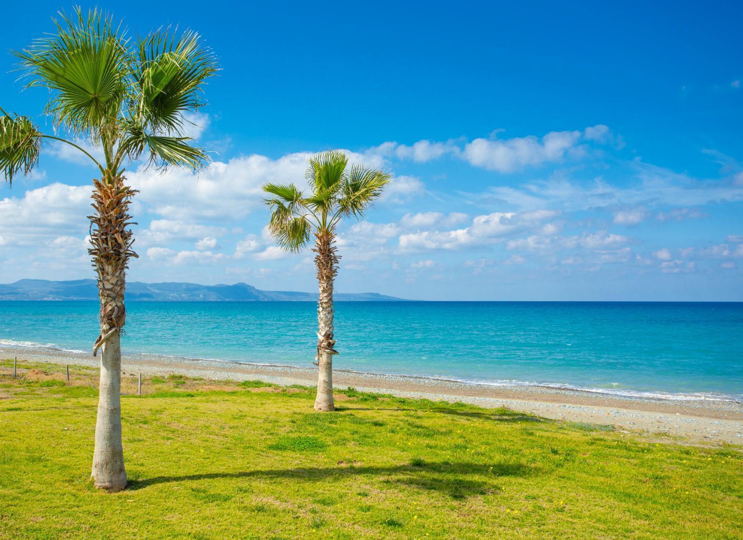 Villa Irene Palace Pafos Dış mekan fotoğraf